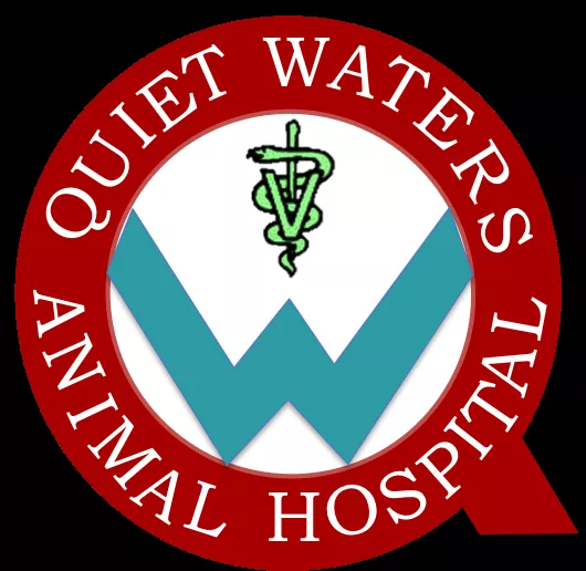 Quiet Waters Animal Hospital, Florida, Deerfield Beach